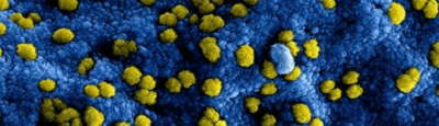 nieuw-coronavirus-in-china2